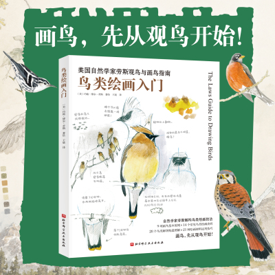 鸟类绘画入门 自然笔记绘画大师约翰·缪尔·劳斯力作 观鸟 爱鸟绘画爱好者 北京科学技术