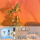 Annasui安娜苏许愿精灵筑梦天马独角兽洋娃娃黄孔雀正品 香水小样