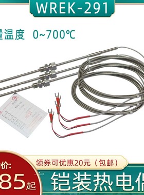 WREK-291铠装热电偶 补偿导线  E分度号 0-800度 不锈钢测温棒
