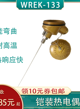 WREK-133铠装热电偶 WREK系列 工业测温仪表 上海测控器 可定制