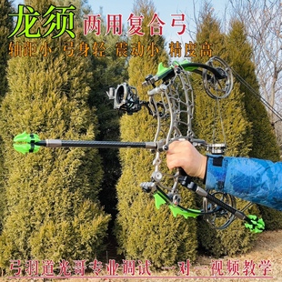 正品新款龙须钢珠射箭两用复合弓箭户外竞技运动非恶棍精灵黑鹰弓