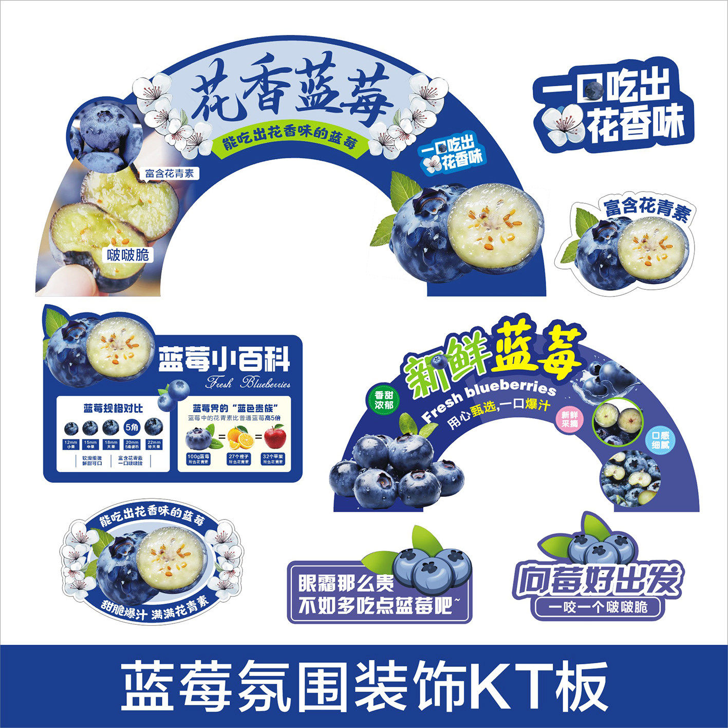水果店蓝莓花香蓝莓氛围造型展示装扮布置套餐