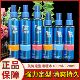 亮泽 美涛强力定型啫喱水120ml 180ml保湿 定型水润男女喷雾