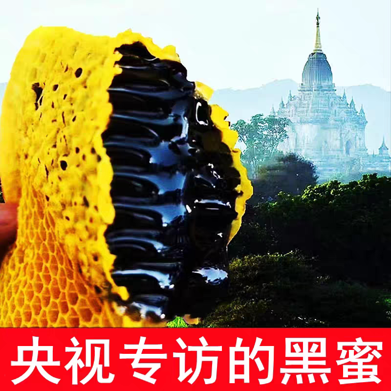 云南野生蜂蜜纯正天然野生蜂蜜原生态百花蜜农家自产自销西双版纳