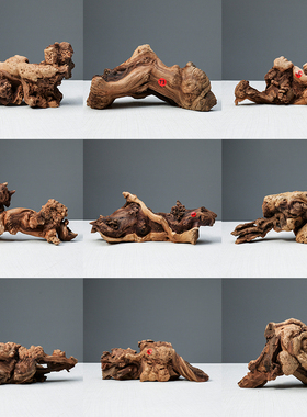 天然风化木沙漠霸王根沉木枯树根鱼装饰品桌面原木实木树桩摆件