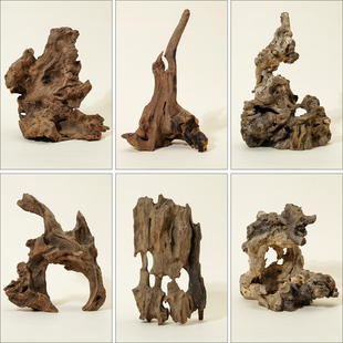 雷击木爬宠黄檀木乌龟晒台鱼缸造景阴沉木插花微景观造型根雕摆件