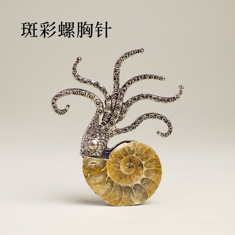 斑彩螺章鱼胸针螺化石复古夸张潮装饰品别针男女胸花海洋生物配饰图片