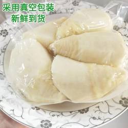 古田水煮马蹄笋肉水果笋绿竹笋肉清甜嫩口火锅竹笋即食笋真空装