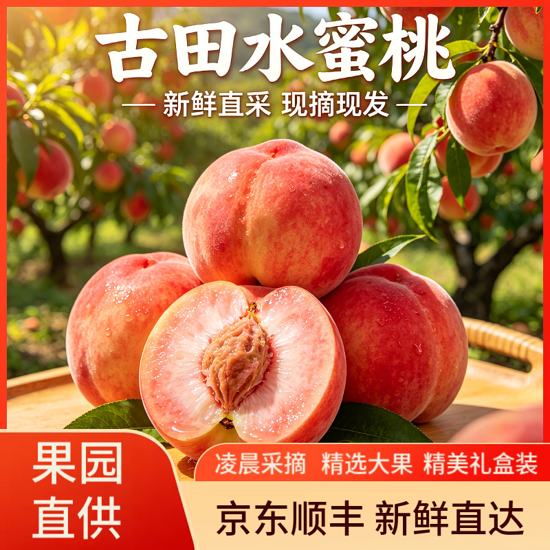 正宗福建古田白凤水蜜桃脆甜桃子脆软两吃现摘新鲜水果【礼果】