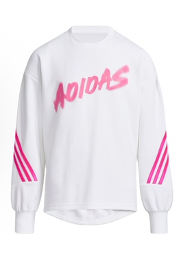 Adidas/阿迪达斯2025冬季款儿童圆领套头运动卫衣H42577