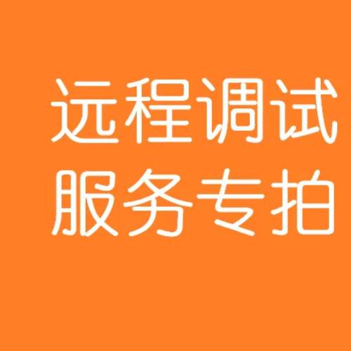 java springboot项目 vue web 源码远程部署运行环境搭建调试运行