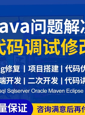 java代码问题解决bug调试修改程序讲解项目运行指导软件后端开发