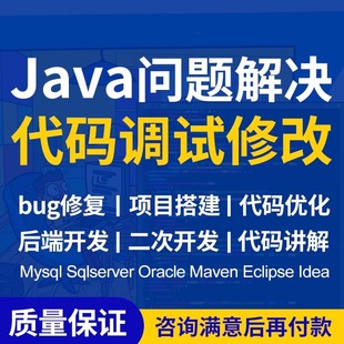 java代码问题解决bug调试修改程序讲解项目运行指导软件后端开发