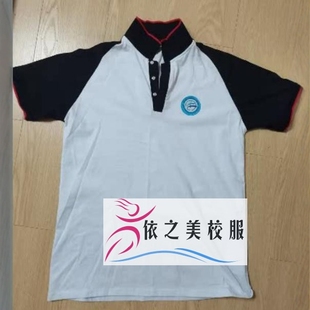 纯棉校服t恤polo衫 浙江淳安县千岛湖镇青溪初级中学来图定制短袖