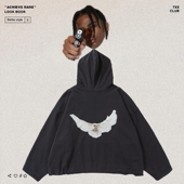 YEEZY高街侃爷Kanye三方联名和平鸽印花双层夹棉廓形宽松连帽卫衣