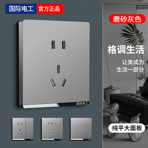 国际电工86型暗装磨砂五孔插座
