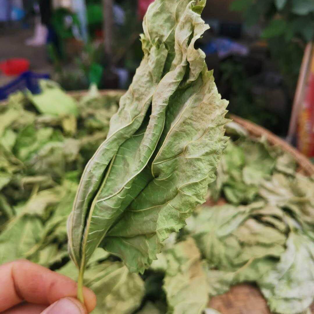 桑叶霜野生桑叶茶大别山干桑叶新货霜桑叶精选优质秋冬新货桑叶茶 - 实物图