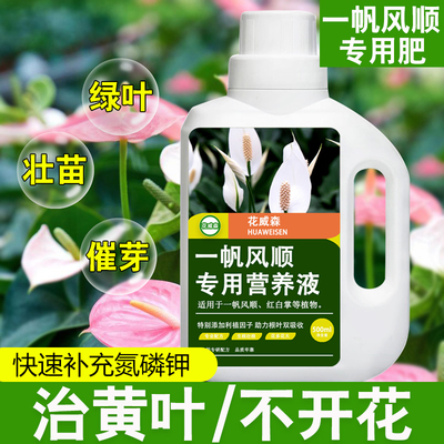 【花威森】一帆风顺营养液红白掌