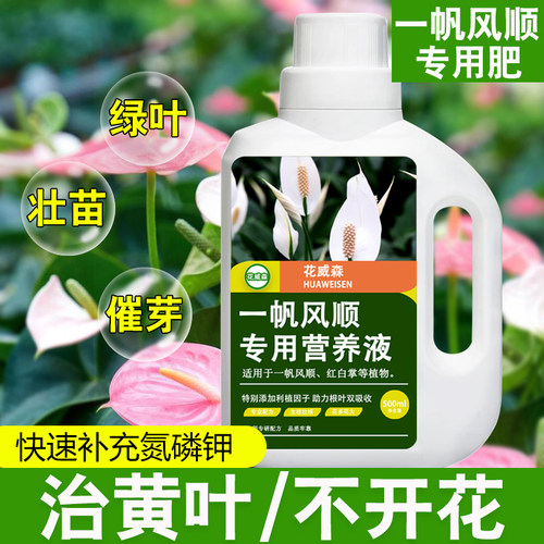 【花威森】一帆风顺营养液红白掌