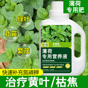 水培薄荷营养液花肥种薄荷专用肥盆栽肥料有机肥盆栽氮磷钾液体肥