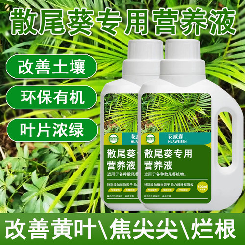 散尾葵专用营养液专治叶子发黄凤尾竹专用肥料夏威夷竹盆栽液体肥