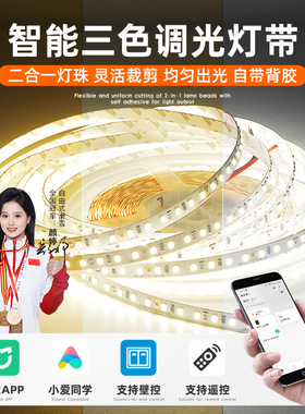 智能联动LED软灯带24V三色变光语音无极调色调光灯条自粘线形灯