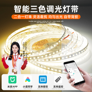 智能联动LED软灯带24V三色变光语音无极调色调光灯条自粘线形灯