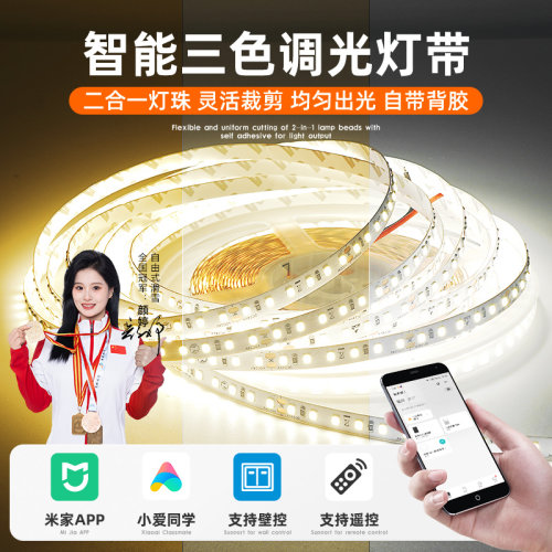 智能联动LED软灯带24V三色变光语音无极调色调光灯条自粘线形灯