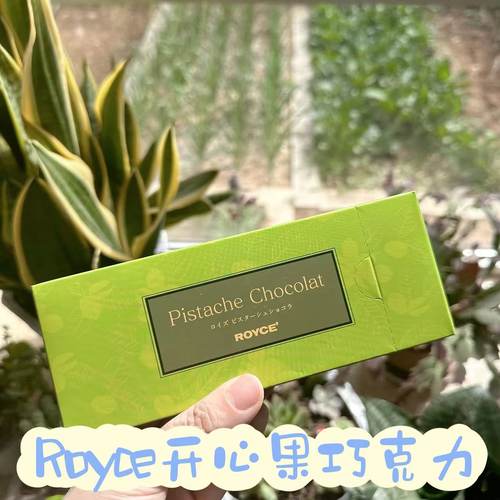 包邮日本每周航班机场零食北海道进口ROYCE开心果夹心巧克力