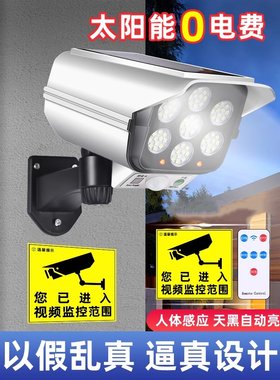 太阳能灯人体感应仿真监控摄像头