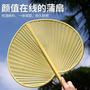 老式 家用大蒲扇蒲扇家用芭蕉扇子加厚夏季 塑料防摔坏手摇加大