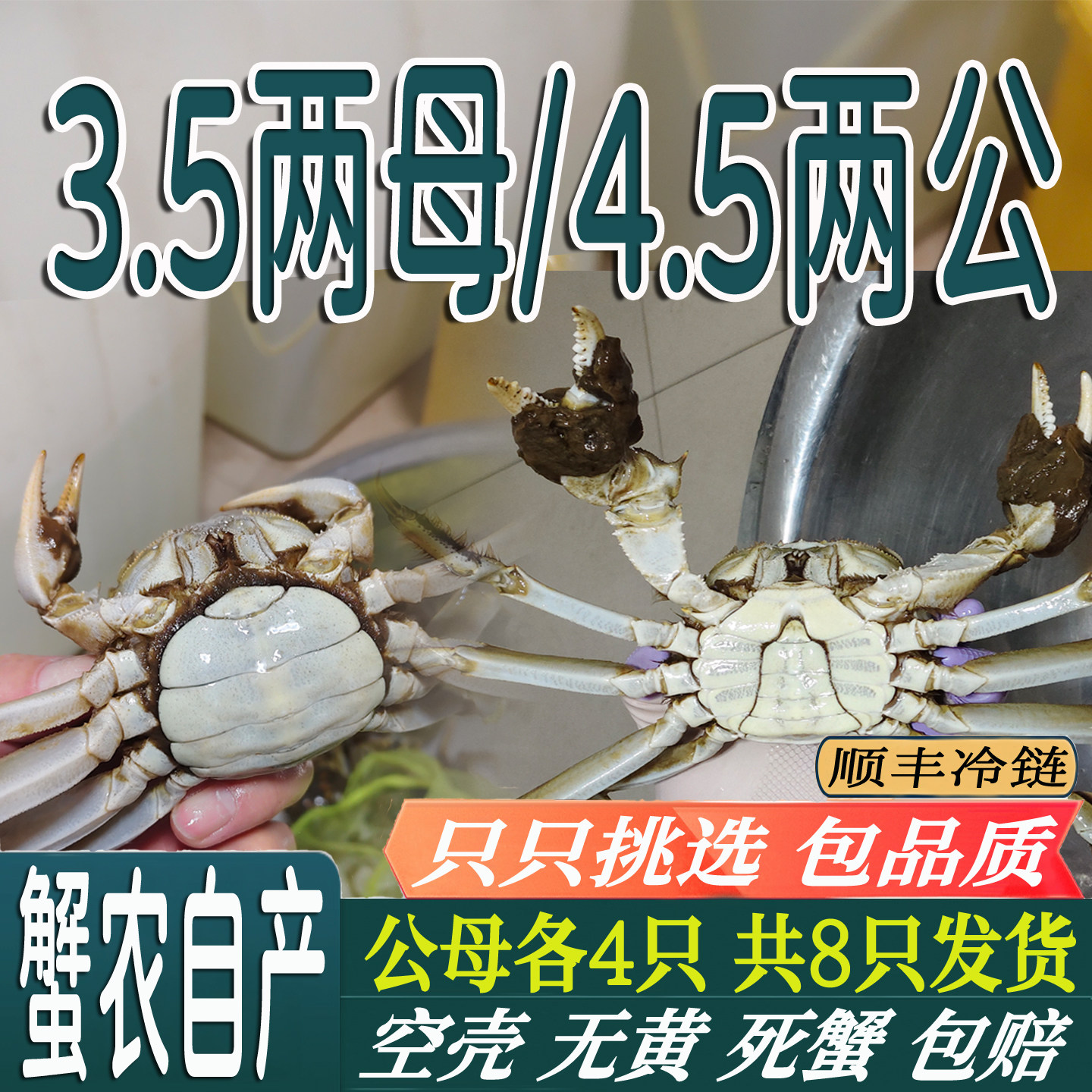 大闸蟹4.5两公蟹3.5两母蟹8只装