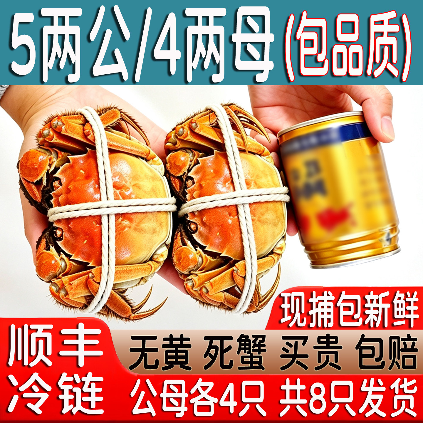 特大公蟹5两母蟹4两8只现捕包肥