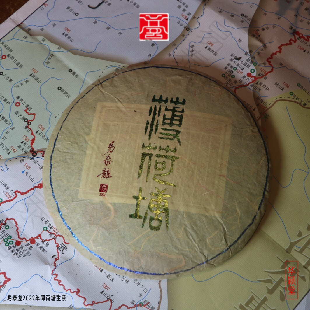 华颖堂品鉴云南普洱茶七子饼易泰龙2022年易武名茶薄荷塘生茶400g
