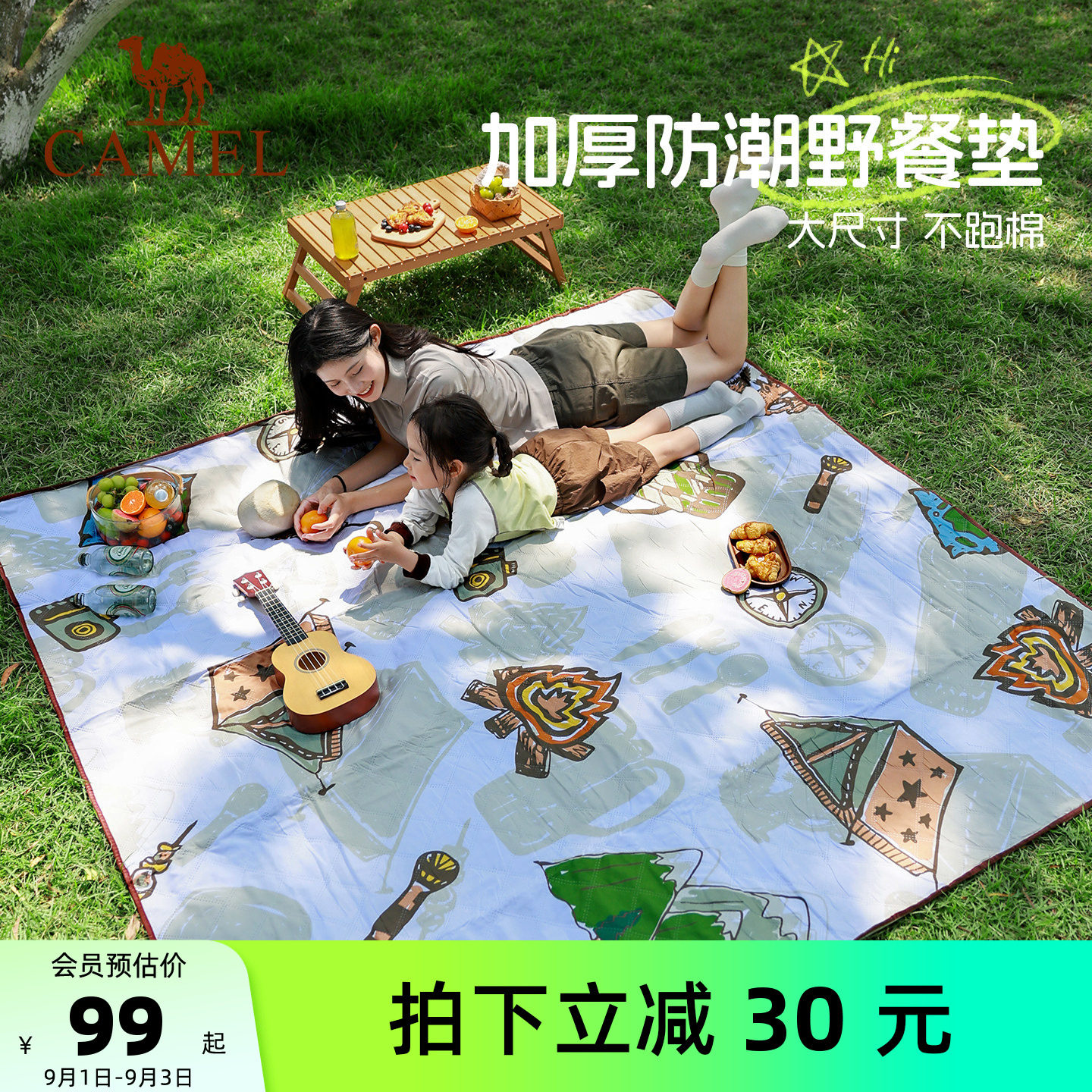 骆驼户外露营加厚超声波野餐垫图片