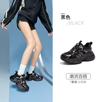 L25A283095, черный [серебряная струна] четыре сезона