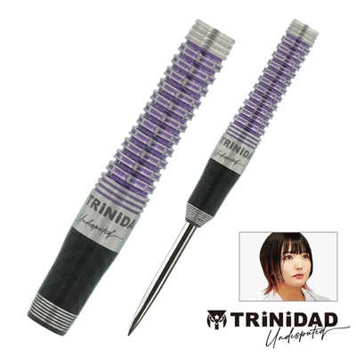 第二代岩田夏海钨钢飞镖TRINIDAD