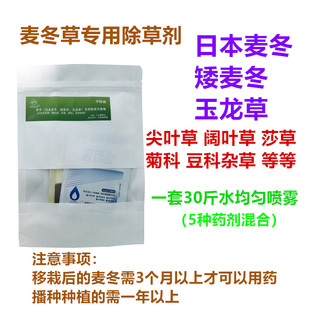 麦冬草专用除草剂套餐玉兰草牛筋草稗草狗尾草尖叶圆叶莎草香附子