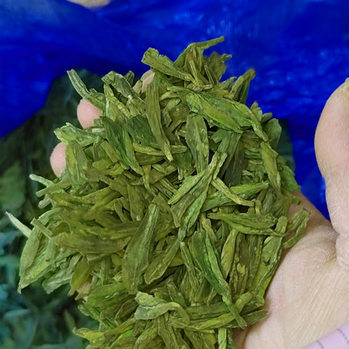 绿茶大佛香型250g雨前
