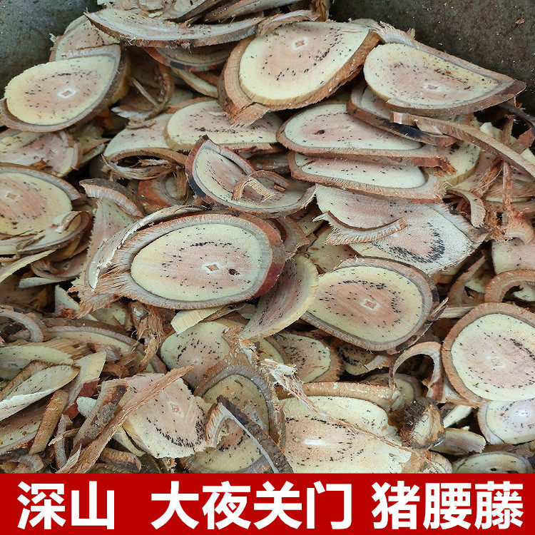 大夜关门羊蹄风猪腰藤中药材