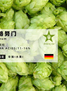 马格努门啤酒花Magnum苦型酒花家酿啤酒进口颗粒啤酒花精酿hops