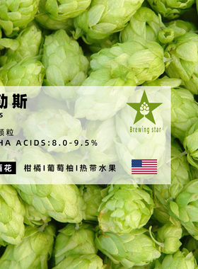 塔卢斯/塔乐斯/泰勒斯颗粒啤酒花talus进口高品质