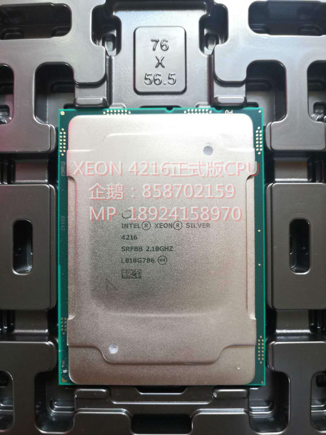 Xeon 4216银牌正式版/2.1G-100W/16核CPU，另有4210.4214.4214R