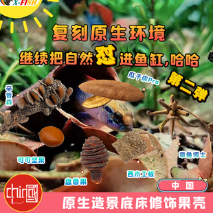 南美缸造景装饰果壳沉木榄仁叶躲避罐野彩埃及原生缸降酸造景素材