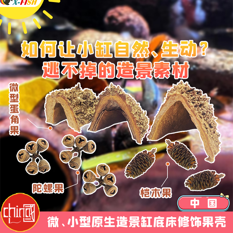 南美溪流缸造景素材桤木果榄仁叶