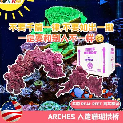 美国RR珊瑚石免爆藻快速培菌开缸