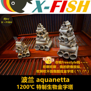 异型繁殖罐躲避五孔砖金字塔波兰生物金字塔水晶虾屋异型躲避罐窝