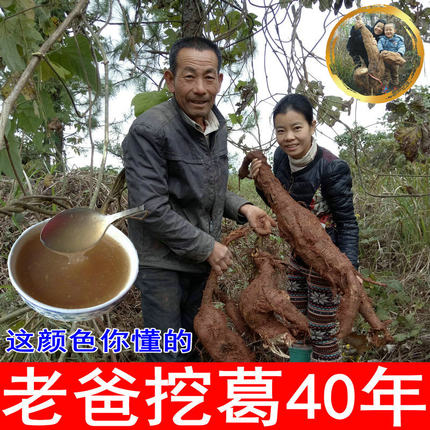 新粉上市 宝妈家野生葛根粉农家自产天然纯柴葛粉450克代餐早餐粉