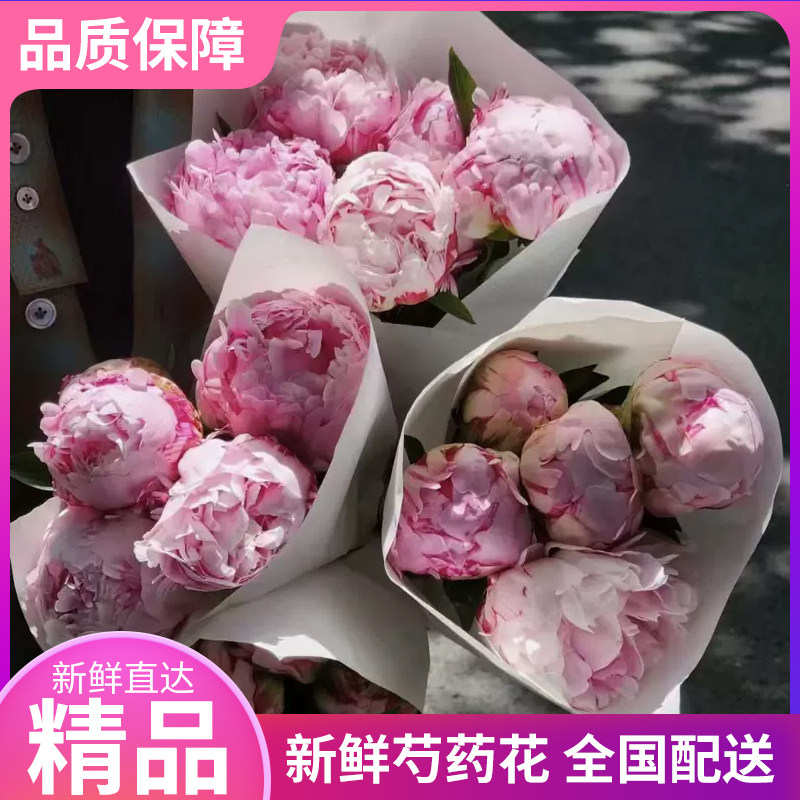 芍药季全国配送国产进口多品种各色芍药切花自有基地