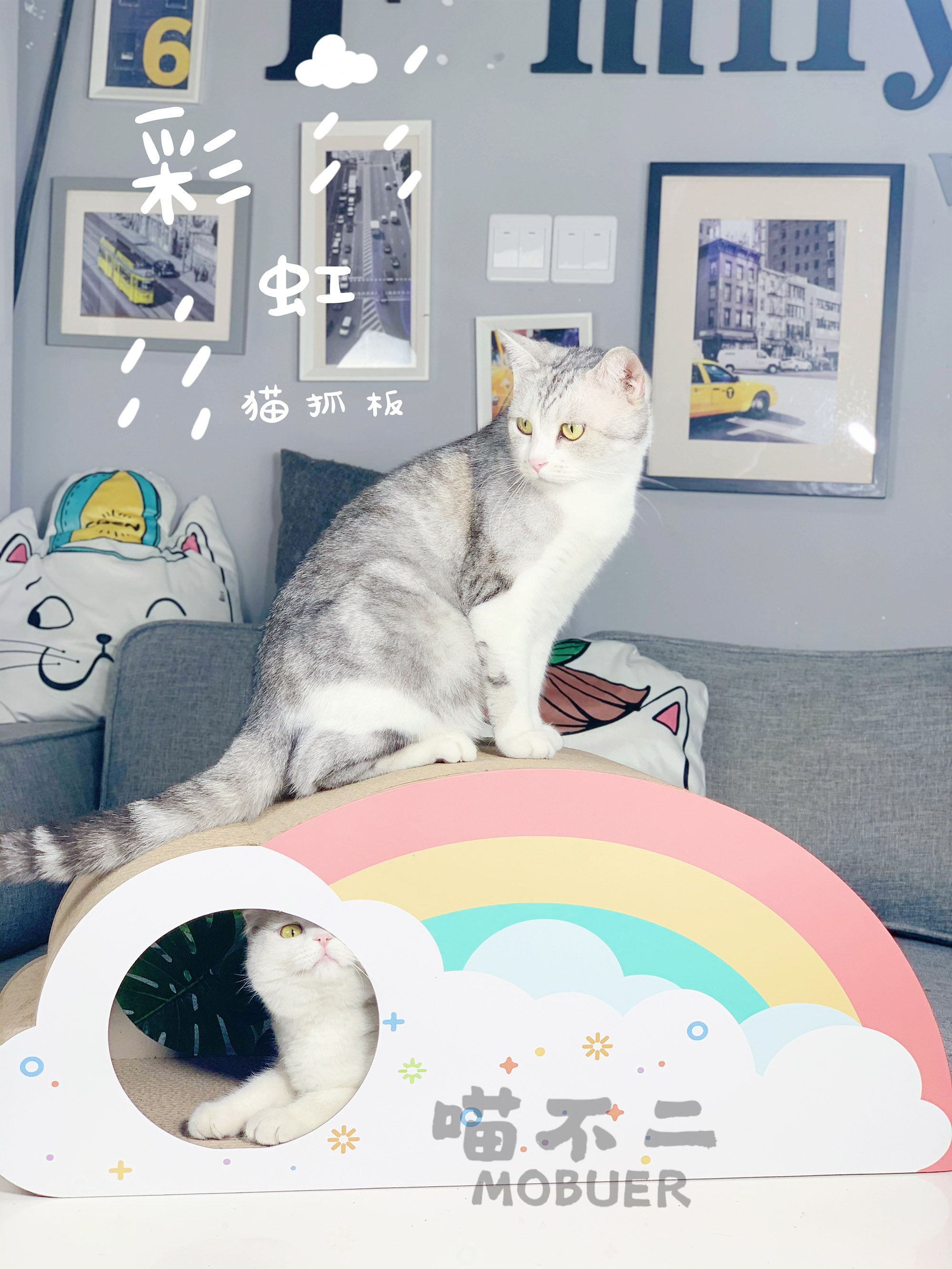 Meow Rainbow Scratching Pets Kitty sofa furniture wear-resisting Cat Toys Suppliesin the Pet/Pet food and supplies , Cat/Dog Toys , Scratching  category - from Buy2taobao.com to provide professional Taobao agent buy service